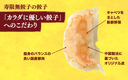 　餃子20個入り×2箱