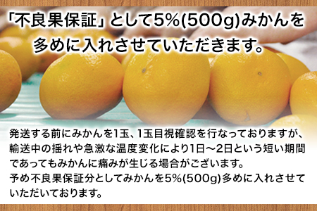 みかん 訳あり 大玉 ミカン 10kg 10キロ 熊本 ちょっと 訳あり 傷 5L～3Lサイズ 約10kg たっぷり 熊本県産 熊本県 期間限定 フルーツ 旬 柑橘 ご家庭用 長洲町 大粒《2024年1月中旬-2月末頃より出荷予定》