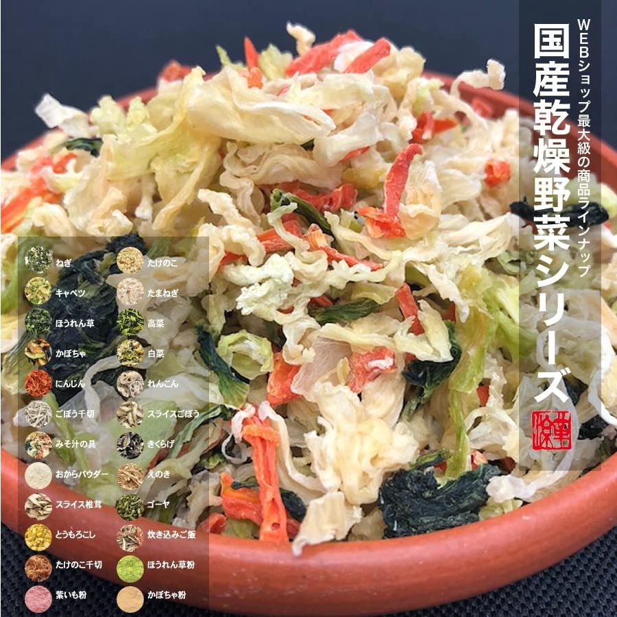 国産乾燥野菜シリーズ 熊本県産100%乾燥キャベツ 110g