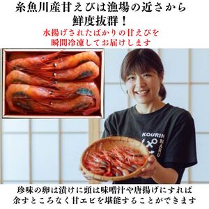 日本海直送 鮮度抜群！糸魚川産『甘エビ』250g×1パック 際立つ甘さと鮮やかさ  甘くとろける格別の味 