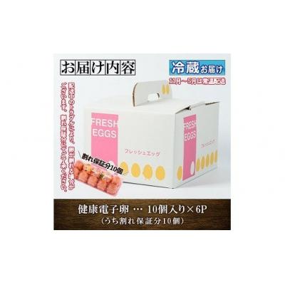 ふるさと納税 いちき串木野市  健康電子卵(鶏卵)6パック 60個入り