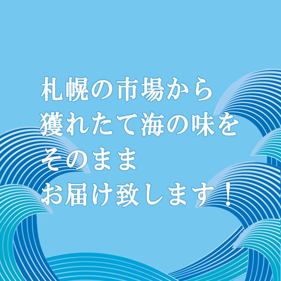 ホタテ 殻付き 活ホタテ 北海道 お歳暮 お取り寄せ 2キロ