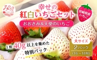 期間・数量限定 宮崎県産 イチゴ 幸せの紅白いちごセット おおきみ天使のいちご 大サイズ2パック(16粒～18粒程度)_M260-010