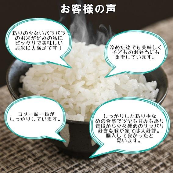 新米 令和5年産 米 お米 10kg こしいぶき 5kg×2 白米 新潟 送料無料 糸魚川 能生米 農家直送  精米