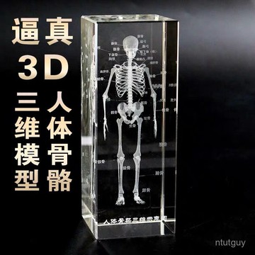 水晶3D內鵰人體骨骼模型擺件器官解刨圖展示紀念禮品 GWYJ