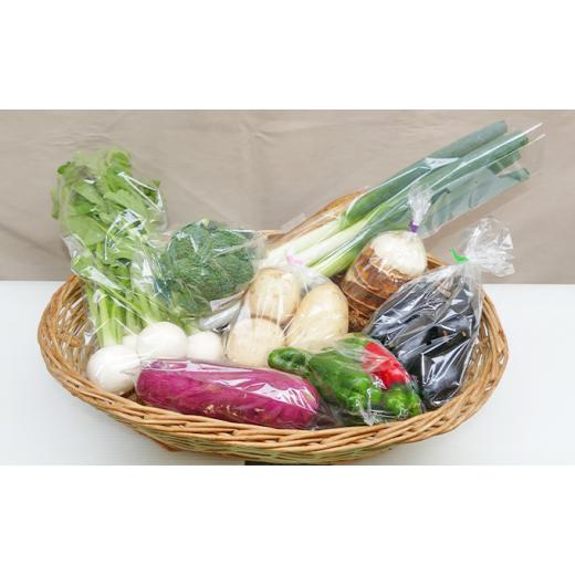ふるさと納税 茨城県 守谷市 季節の野菜セット定期便