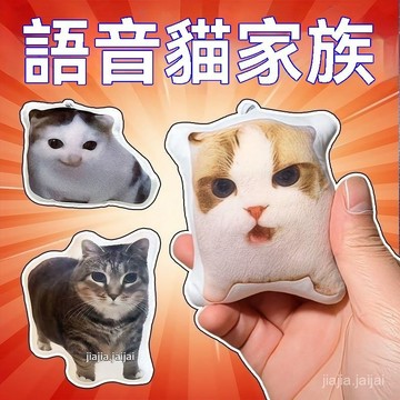 ⚜️暑假大促⚜️德語小貓語音掛件柏林之聲貓希特喵喵髮聲玩偶鑰匙扣來圖創意玩偶 狸花貓掛件 玩偶鑰匙扣 德語小貓掛件 RM