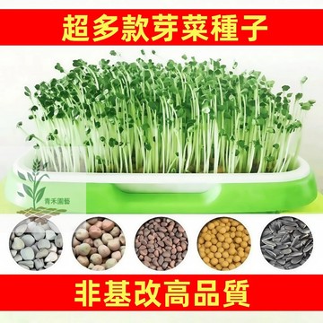 青禾園藝（超多款芽菜種子）非基改高品質豆芽菜種子紙上種菜水培油葵 空心菜 苜蓿 青江菜 莧菜 綠豆多次采收 快速收成