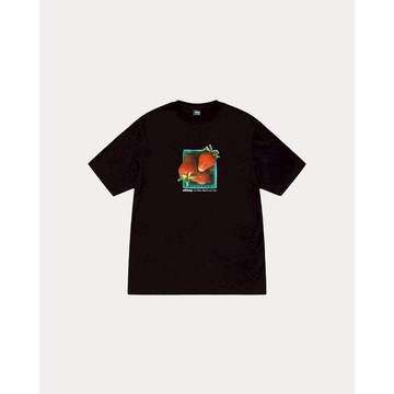 AirRoom 正品 2025SS STUSSY BERRIES TEE 草莓 LOGO 熱門款 短T 1905108
