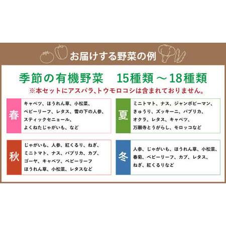 ふるさと納税 季節の野菜 詰め合わせ 15種類〜18種類程度 〜有機野菜セットB〜 北海道北広島市 北海道北広島市