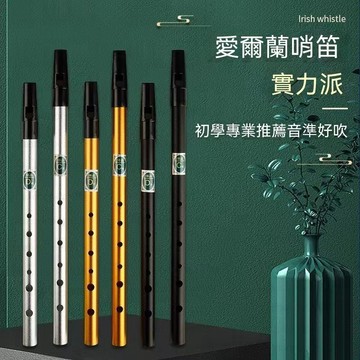 愛爾蘭哨笛 錫口笛 吹簫笛 金屬哨笛 直豎 6孔笛子 中音金屬直笛 中國笛 短笛 豎笛 笛子 初學者成人學生專業級樂器