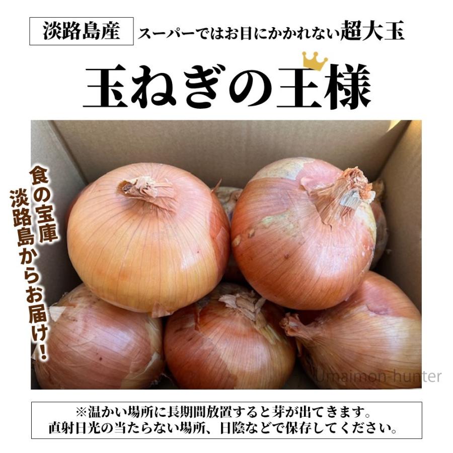 玉ねぎの王様 5kg×1箱 ニコマート ターザン 国産 淡路島産 お取り寄せ 野菜