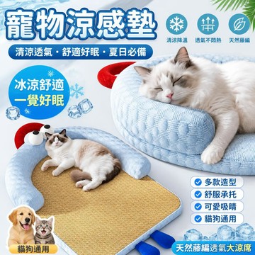 ✅寵物涼感墊 貓咪涼墊 狗狗涼墊 寵物冰墊 沙發涼感墊 貓咪夏季涼蓆墊子 窩房子通用 窩狗墊子貓屋 冰豆豆寵物窩墊子
