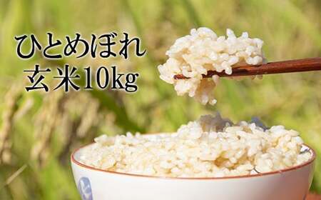  玄米 10kg ／ 新米 米 産地直送 