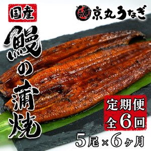 国産 うなぎ 蒲焼 鰻 たっぷり 5尾 約500g 肝 佃煮 おまけ付き ギフトボックス セット 老舗 専門店 うなぎ処京丸 （ 鰻 うなぎ 鰻定期便 うなぎ定期便 鰻蒲焼 うなぎ蒲焼 うなぎ 鰻贈答用 鰻ギフト用 FN-SupportProject 鰻 FN-SupportProject 鰻専門店 FN-SupportProject 年末企画 鰻老舗 年末企画 静岡 沼津 年末企画 ）