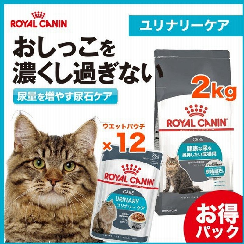 新作入荷!! ロイヤルカナン 猫 キャットフード オーラルケア と