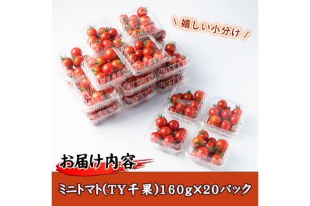 No.665 ミニトマト「TY千果」(計3.2kg・160g×20パック)