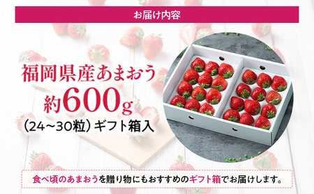 福岡産 あまおう 約600g  (24~30粒) 1箱 いちご 苺 果物 フルーツ 九州産 福岡県産 冷蔵 ギフト箱 箱入り ギフト 贈り物 送料無料