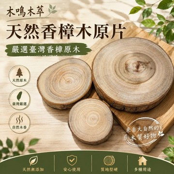 【木鳴木萃】台灣香樟木片 樟木片 原木年輪片 木質擺飾 植栽底座 多尺寸