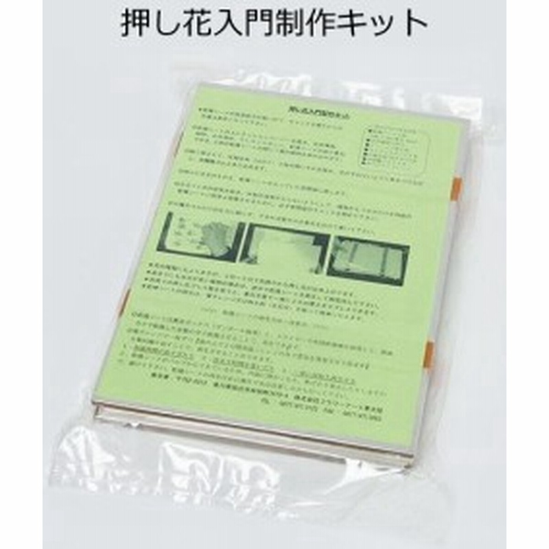 押し花入門製作キット おしばな 簡単 しおり 趣味 乾燥 手作り 初心者 シート 通販 Lineポイント最大1 0 Get Lineショッピング