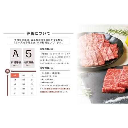 ふるさと納税 A5 黒毛和牛 赤身ステーキ300g  赤身焼肉400g 牛肉 A5等級 モモ 焼肉 ステーキ BBQ お肉 小分け 冷凍 カ.. 鹿児島県南さつま市