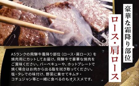 飛騨牛Ａ5 焼肉用 600g（300g×2パック）ロース 又は 肩ロース 肉 ｜国産 肉 牛肉 焼肉 和牛 黒毛和牛 グルメ A5等級 おすすめ AD116