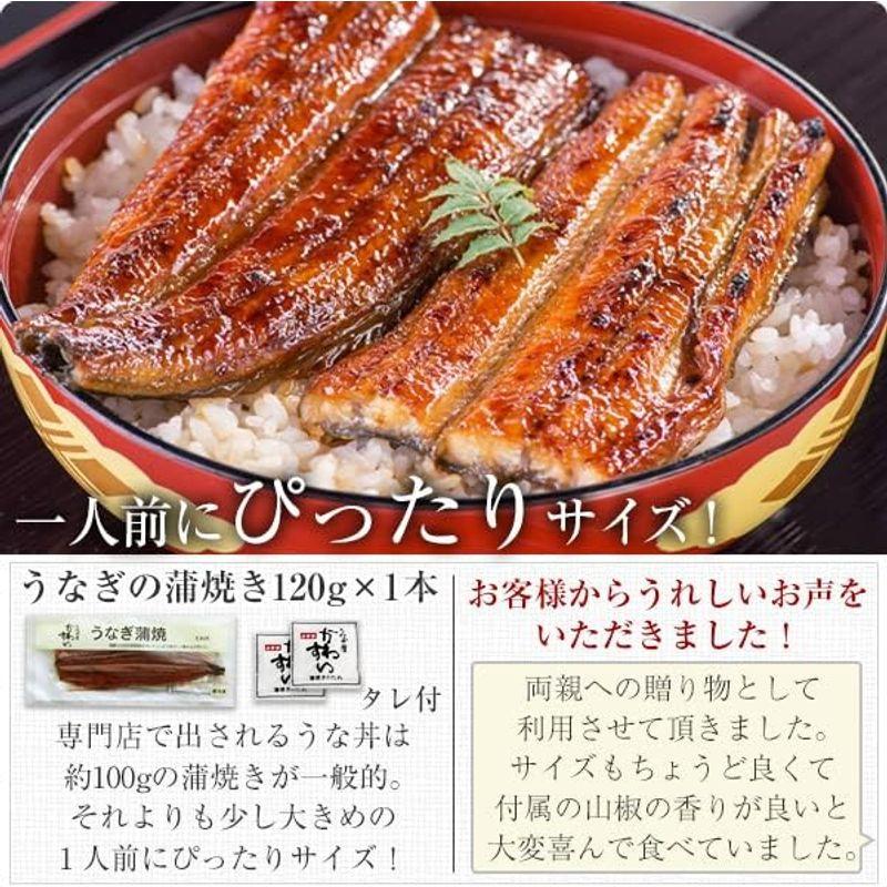 うなぎ屋かわすい 国産うなぎ 蒲焼き １２０ｇ１本 蒲焼 カット ２枚セット タレ付き 山椒別売り ギフト 贈り物