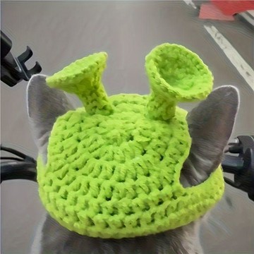 ✅🐱【貓咪帽子可愛搞怪】🐱 變裝帽寵物帽子金漸層英短德文 狗狗頭套卡通頭飾 拍照道具 寵物裝扮 台灣發貨