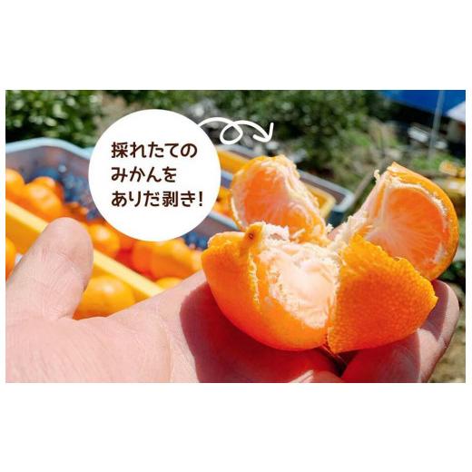 ふるさと納税 和歌山県 有田川町 みかん Ｓサイズ 秀品 箱込 5kg (内容量約 4.4kg) 玉そろえたんじゃ 和歌山県産 有田みかん 贈答用 