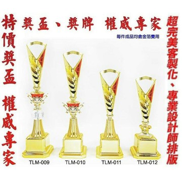 獎盃 獎牌 客製化 訂製各式比賽獎盃皆可承製喔 TLM-009 ~ TLM-012【大自在運動休閒精品店】