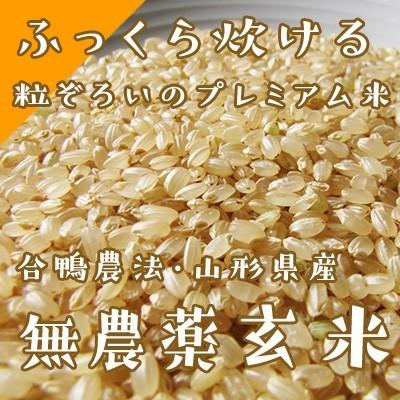 無農薬玄米10kg（5kg×2袋・合鴨農法・山形産・東北〜関東まで送料無料）