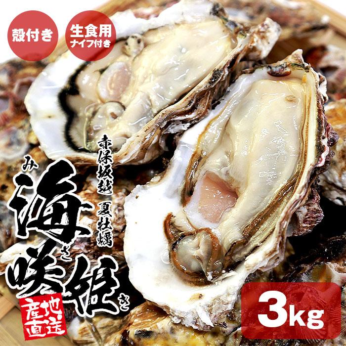 生食　岩牡蠣　約　みさき　生　焼きガキ　牡蠣　取り寄せ　バーベキュー　夏　海咲姫　生食用　お取り寄せ　坂越　生牡蠣　殻付き岩牡蠣　カキフライ　BBQ　兵庫県産　3kg　殻付き　LINEショッピング