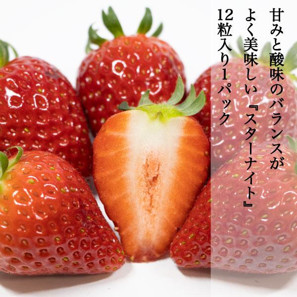 ギフト スターナイト 苺 いちご イチゴ 1パック12個入り 約400g strawberry 甘みと酸味のバランスがとてもよく美味しい 産地直送 お取り寄せ