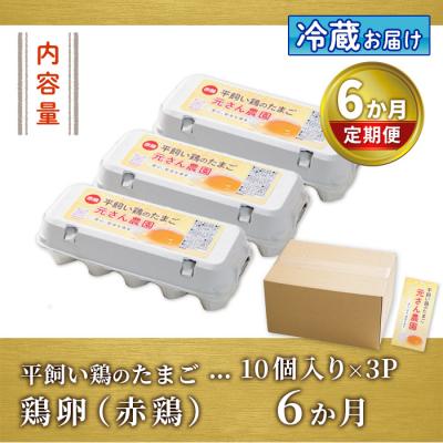 ふるさと納税 佐伯市 平飼い赤鶏のたまご (総量180個・S-Mサイズ30個×6回)