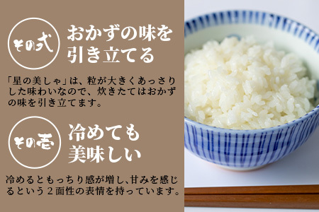 令和５年産新米 石垣島産 星の美しゃ（ほしのかいしゃ）20kg（5kg×4袋）MK-5