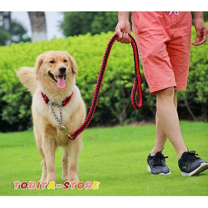 Sサイズ リード 首輪 犬 丈夫 中型 大型 編込み レッド×ブラック