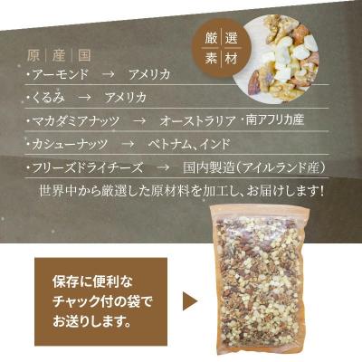 ふるさと納税 碧南市 フリーズドライチーズ入り 無塩ミックスナッツ4種1kg　H059-104