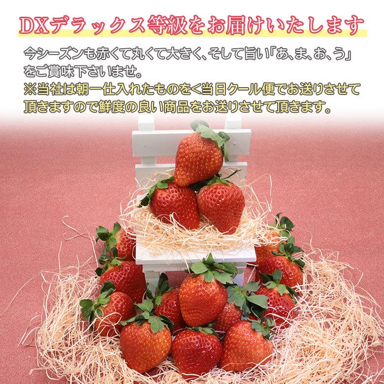 いちご イチゴ 福岡 博多 あまおう 苺 秀品 特大 大粒 2L 以上 1箱 2パック入り 270g 2パック DX デラックス 秀品 ご家庭用 ギフト プレゼント