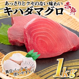 訳あり おすすめ キハダ マグロ 赤身 刺身 ステーキ 1kg 家庭用 高知県