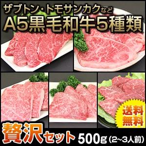 焼肉 セット 国産 国産牛 バーベキュー 肉 黒毛和牛 カルビ bbq 贅沢セット 500g 送料無料