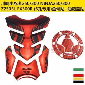 適用Z250SL川崎小忍者Ninja250/300摩托車LX150油箱貼紙魚骨貼花