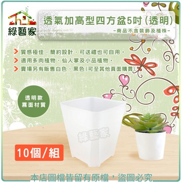 【綠藝家】透氣加高型四方盆5吋 10個/組 (透明)