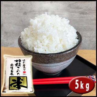 5年産　埼玉でとれたお米5kg  白米 埼玉県産 送料無料