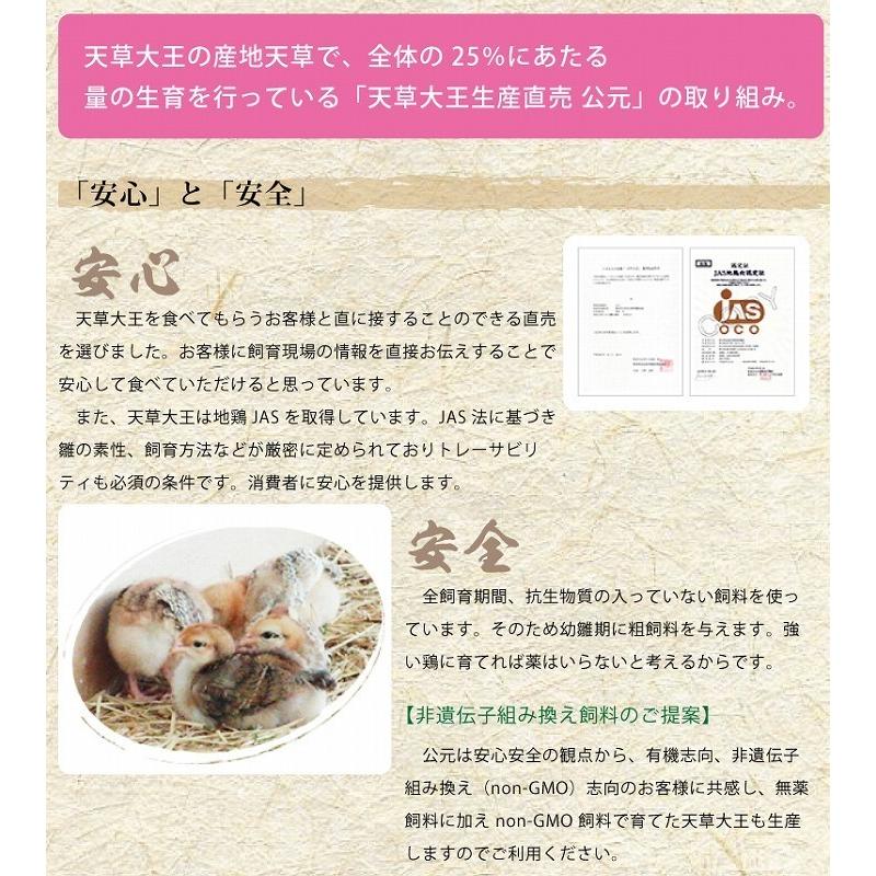 鶏肉ささみ 天草大王　ササミ2本単品　80g以上（個体により異なります）