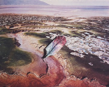 木刻手繪墜飾 - 羽毛