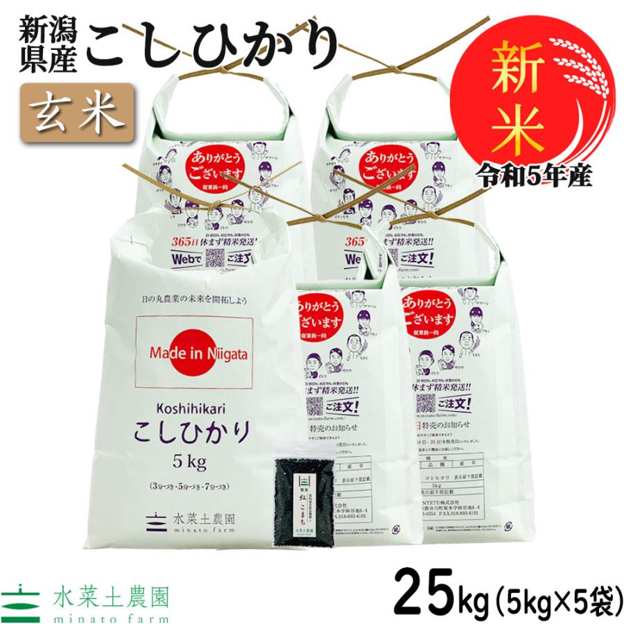 新米 米 お米 玄米 こしひかり 25kg （5kg×5袋） 令和5年産 新潟県産 古代米お試し袋付き