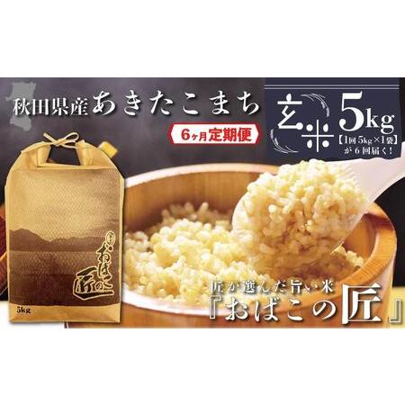 ふるさと納税 秋田県産おばこの匠あきたこまち　5kg （5kg×1袋）玄米 秋田県大仙市