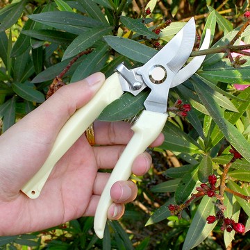 不銹鋼家用修枝剪花木剪刀 園林花藝果樹剪花枝剪刀修花園藝工具