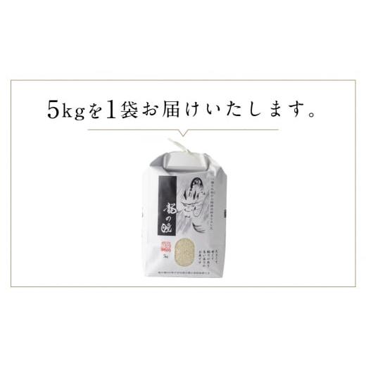 ふるさと納税 岐阜県 飛騨市 2023年産 龍の瞳飛騨産 5kg 令和5年産 新米