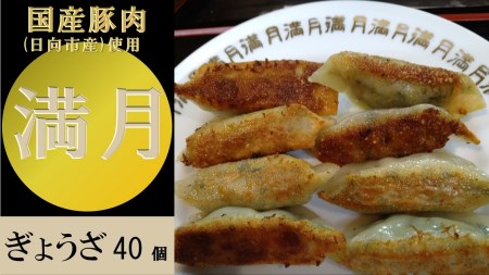 満月自慢　手作り餃子 国産豚肉・無添加 40個 [満月 宮崎県 日向市 452060209]